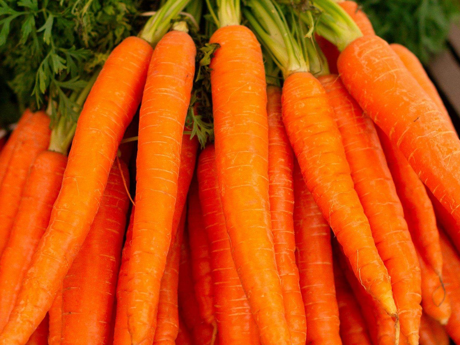 Carrots